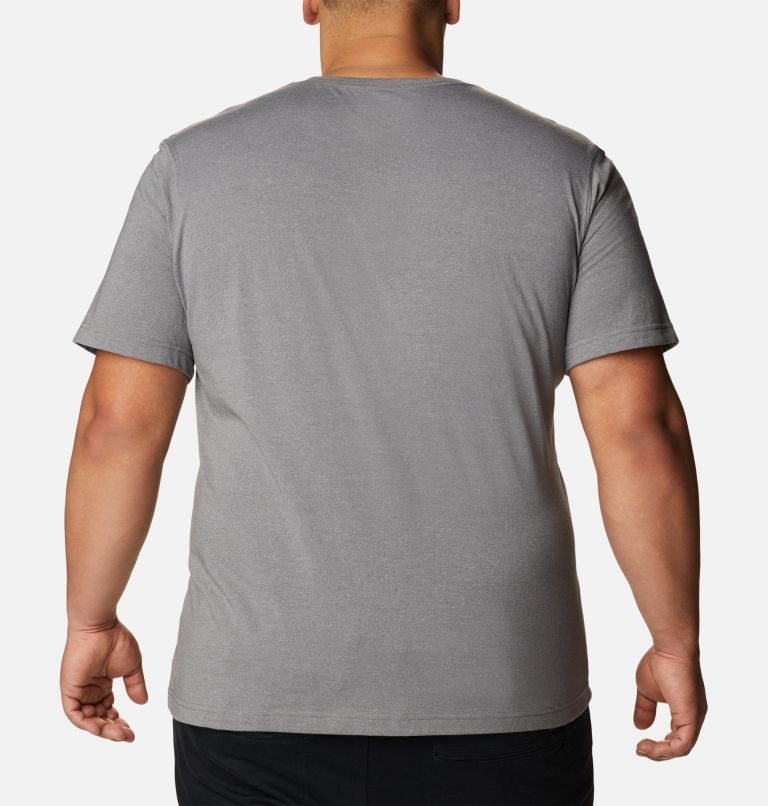 Men's Columbia Thistletown Hills Short Sleeve T Shirts Grey | Plus Size CA-Y5016